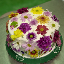 Load image into Gallery viewer, Hardin
